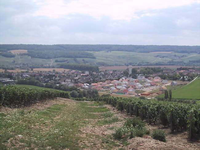 Damery vue des vignes - Damery (51480) - Marne