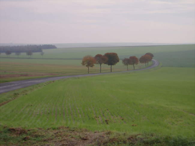 Paysage de la plaine champenoise, à l'est du village - Faux-Vésigneul (51320) - Marne