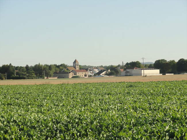 Vue du village depuis le nord - Flavigny (51190) - Marne