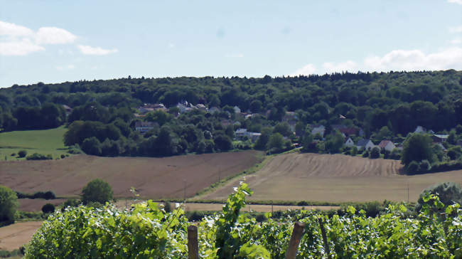 Vue Germaine depuis Vaurémont - Germaine (51160) - Marne