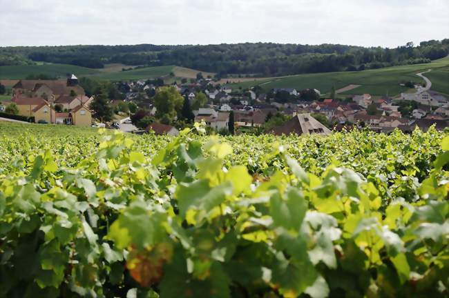 Le village vu depuis les vignes - Grauves (51190) - Marne