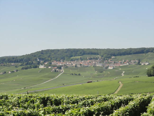 Festival Coups de foudre