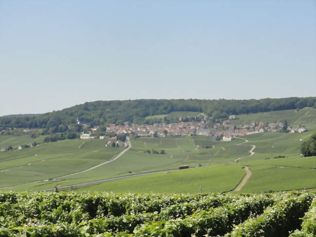 Vue d'ensemble d'Hautvillers depuis Champillon - Hautvillers (51160) - Marne