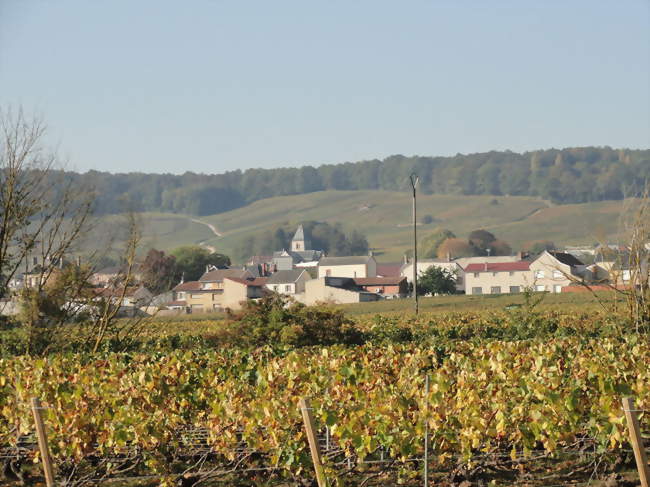 Vue du village, depuis la route départementale 9 - Le Mesnil-sur-Oger (51190) - Marne