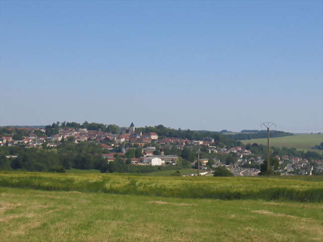Vue sur Montmirail, depuis La Dorgeaterie - Montmirail (51210) - Marne