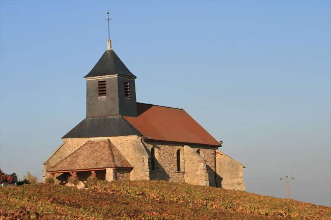 L'église Saint-Martin - Mutigny (51160) - Marne