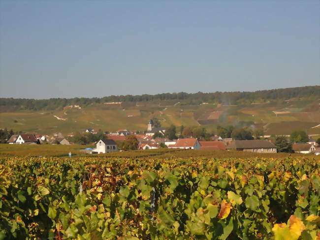 Vue d'Oger au mois doctobre - Oger (51190) - Marne