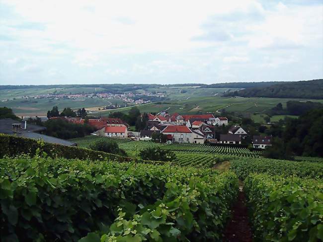 Le village de Romery, vu depuis les vignes - Romery (51480) - Marne