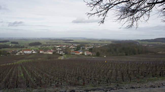 Le village de Sermiers et une vue vers Reims - Sermiers (51500) - Marne