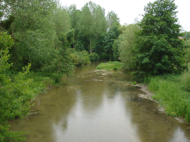 La Guenelle à Togny-aux-Bufs - Togny-aux-Bufs (51240) - Marne