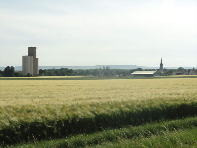 Vue de Tours-sur-Marne depuis la RD 1, avec en arrière-plan la côte des Blancs - Tours-sur-Marne (51150) - Marne
