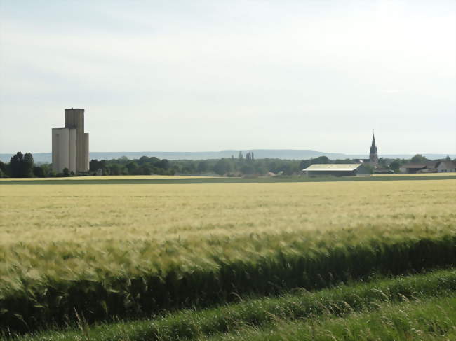 Balade contée & gourmande à Tours-sur-Marne