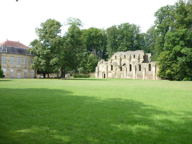 Vestiges de l'église de labbaye de Trois-Fontaines - Trois-Fontaines-l'Abbaye (51340) - Marne