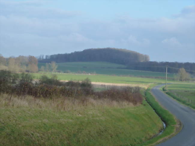 le paysage depuis l'entrée du village - Vroil (51330) - Marne