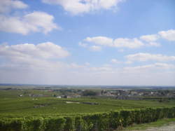 photo La Bullecyclette - La balade à vélo rétro dans le vignoble de Champagne