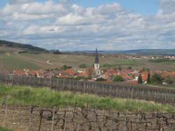 photo Trail de la Montagne de Reims