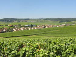 photo Visite des caves - Champagne CHARBONNIER Père et Fils