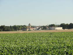 photo Flavigny