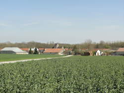 photo Rouffy