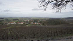 photo Fascinant Week-end V&D : Dégustation de vins clairs au Champagne Lacuisse