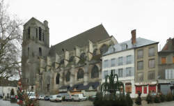 photo Vendangeur d’un jour au Champagne Pierre PINARD