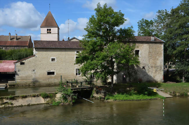 La Marne à Choignes - Chamarandes-Choignes (52000) - Haute-Marne