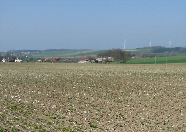 Le village, entre terre calcaire et champ d'éoliennes - Échenay (52230) - Haute-Marne
