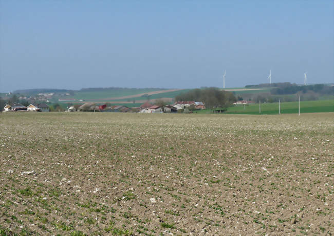 Le village, entre terre calcaire et champ d'éoliennes - Échenay (52230) - Haute-Marne