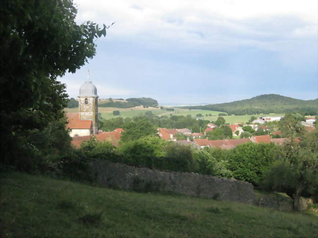 Vue du village - Graffigny-Chemin (52150) - Haute-Marne