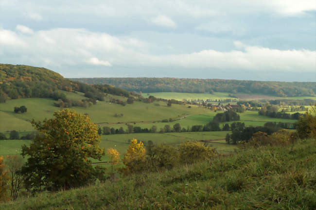 Vue sur la vallée de l'Amance depuis une parcelle du territoire de la commune de Haute-Amance à côté de Varennes-sur-Amance - Haute-Amance (52600) - Haute-Marne