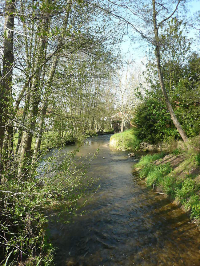 La Mouche à Humes - Humes-Jorquenay (52200) - Haute-Marne