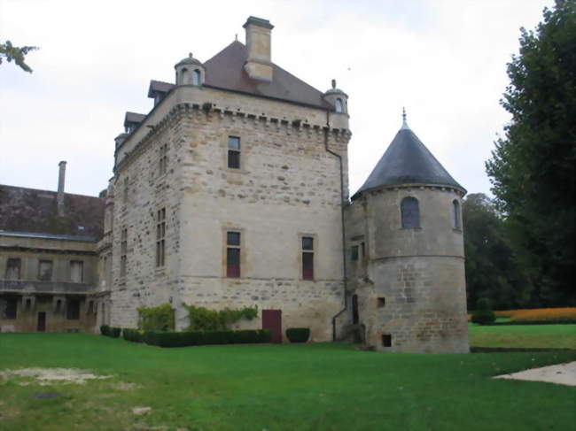 Le château du Pailly - Le Pailly (52600) - Haute-Marne