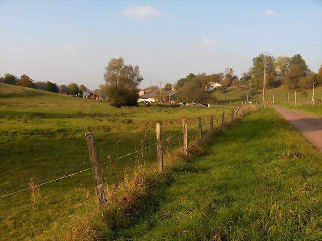 L'entrée du village, du côté de Gillaumé - Saudron (52230) - Haute-Marne