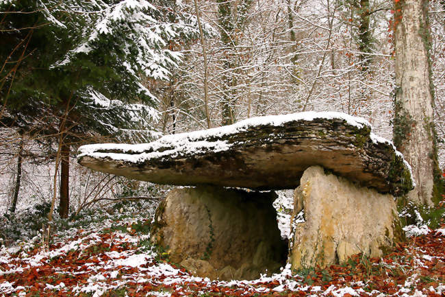 Dolmen de la Pierre-Alot - Vitry-lès-Nogent (52800) - Haute-Marne