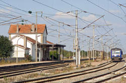 photo Merrey