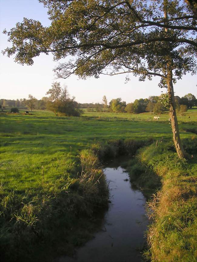 La Colmont, en limite avec la Normandie - Désertines (53190) - Mayenne