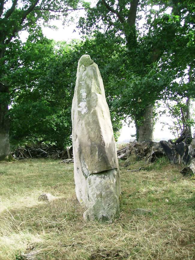 Le menhir de Saint-Civière - Le Pas (53300) - Mayenne