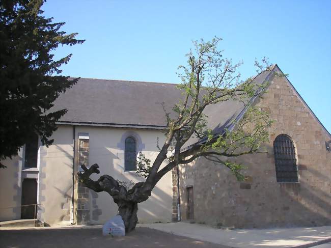 La vieille aubébine, près de l'église - Saint-Mars-sur-la-Futaie (53220) - Mayenne