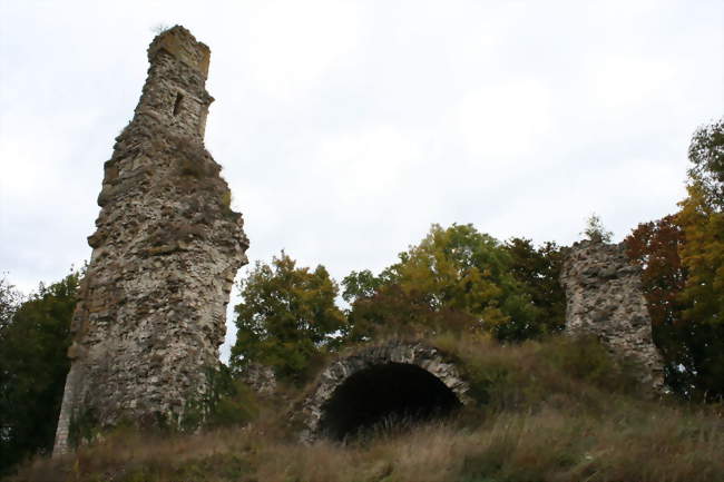 Le château - Bainville-aux-Miroirs (54290) - Meurthe-et-Moselle