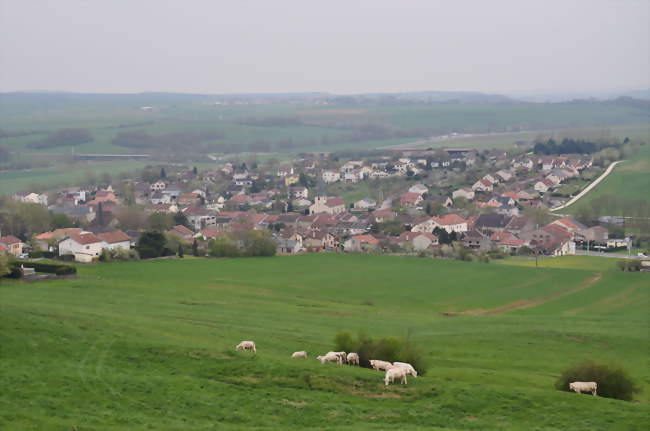 Brancardier / Brancardière
