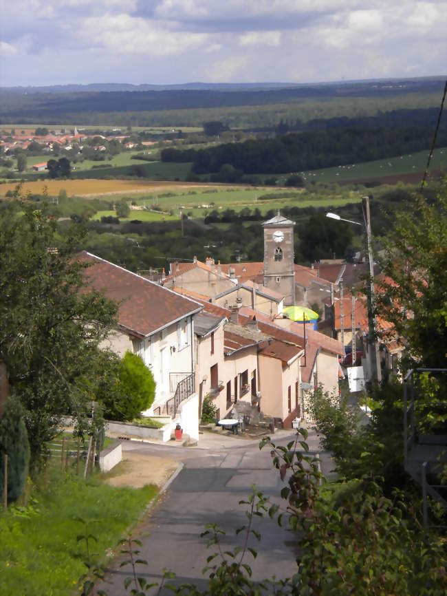 Rue du Bois-la-Dame, depuis l'orée du Bois-Brûlé - Bulligny (54113) - Meurthe-et-Moselle