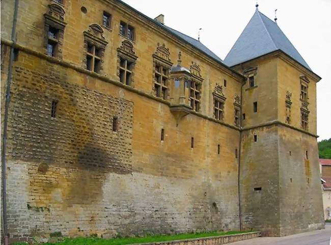Le château - Cons-la-Grandville (54870) - Meurthe-et-Moselle
