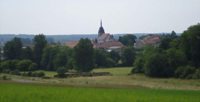 Vue du village depuis la route de Blémerey - Domjevin (54450) - Meurthe-et-Moselle