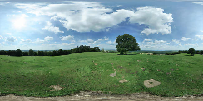 Panorama du Haut de la Côte - Essey-la-Côte (54830) - Meurthe-et-Moselle