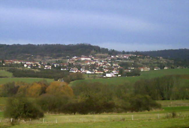 vue générale du village d'Eulmont - Eulmont (54690) - Meurthe-et-Moselle