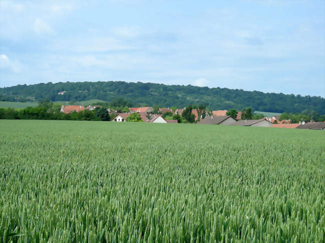 Rédacteur / Rédactrice sinistres risques divers