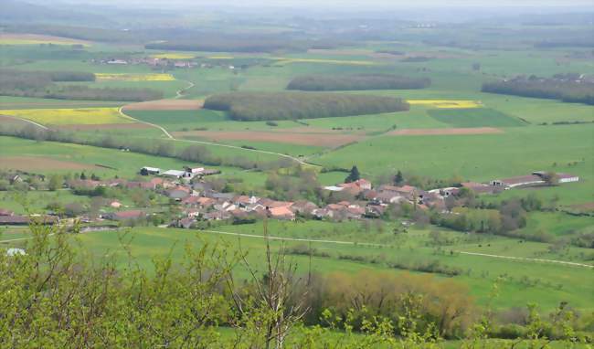 Forcelles-sous-Gugney - Forcelles-sous-Gugney (54930) - Meurthe-et-Moselle