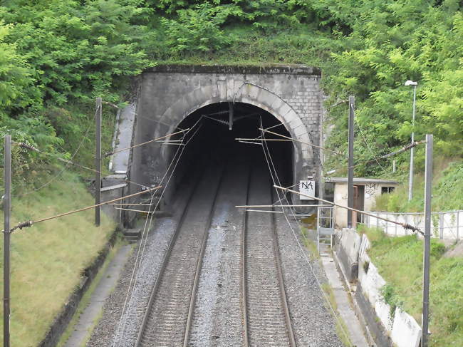 tunnel du chemin de fer - Foug (54570) - Meurthe-et-Moselle
