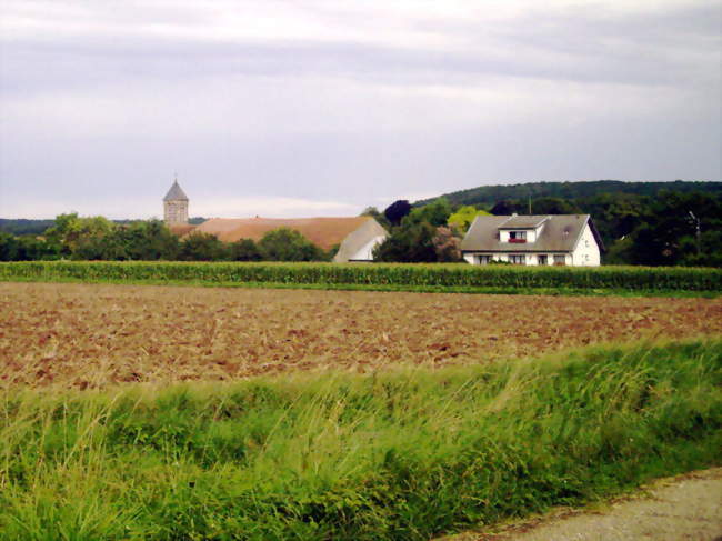 Aide d'élevage porcin