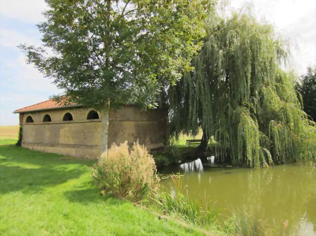 Le lavoir et son étang - Malavillers (54560) - Meurthe-et-Moselle